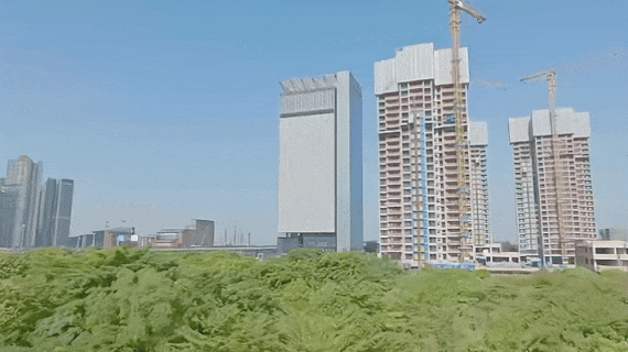 微信图片_20240112141755.gif 微信图片_20240112141755.gif